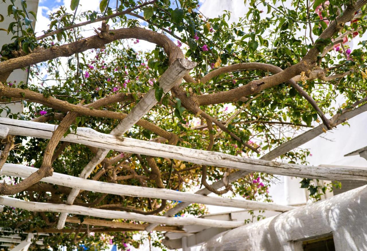 K&K Residence @Mykonos Town Extérieur photo